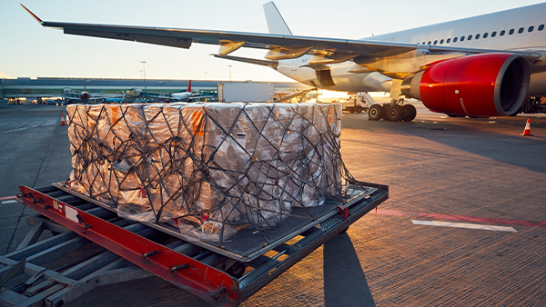 Expert Insights on Air Freight Recruitment cover image 2158