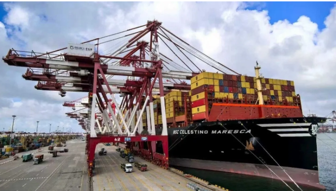MSC and Shandong Port Enhance Logistics in Qingdao cover image 2234